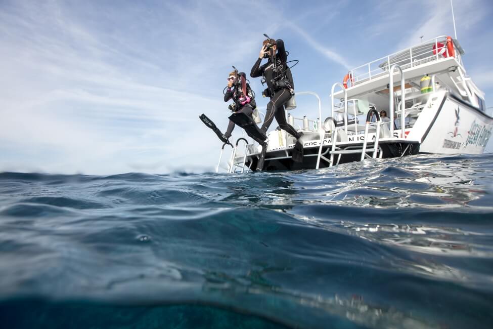 tauchbasis-schwerelos_galerie (46)